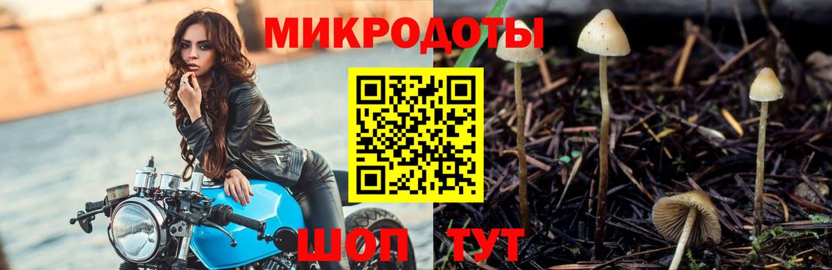 Томск  Псилоцибиновые грибы GOLDEN TEACHER  Вход с VPN  Псилоцибиновые грибы MAGIC MUSHROOMS 